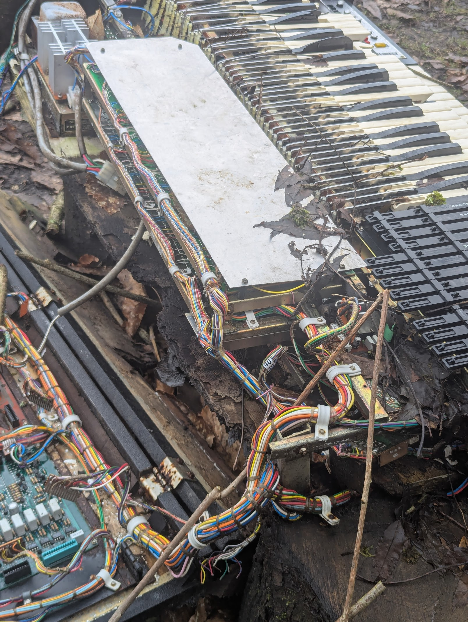 &ldquo;organ donor&rdquo;